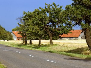 La Délimitation du Domaine Public